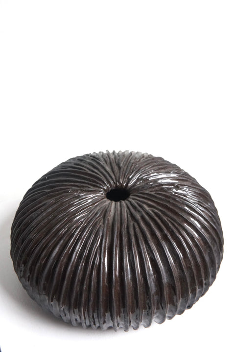 L’Océan noir sea urchin - AnneFrance Monshouwer
