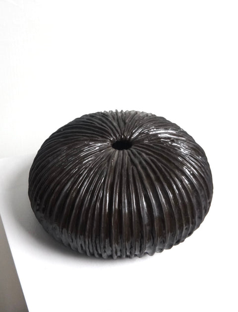 L’Océan noir sea urchin - AnneFrance Monshouwer