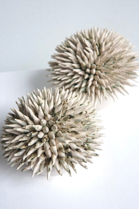 L’Océan clair urchin - AnneFrance Monshouwer (1 piece)