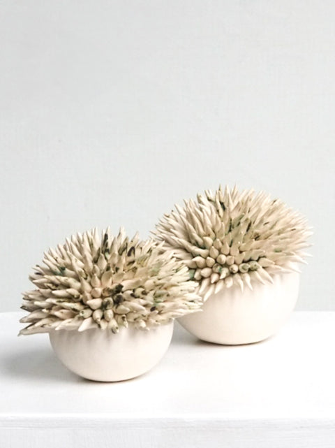 L’Océan clair urchin - AnneFrance Monshouwer (1 piece)