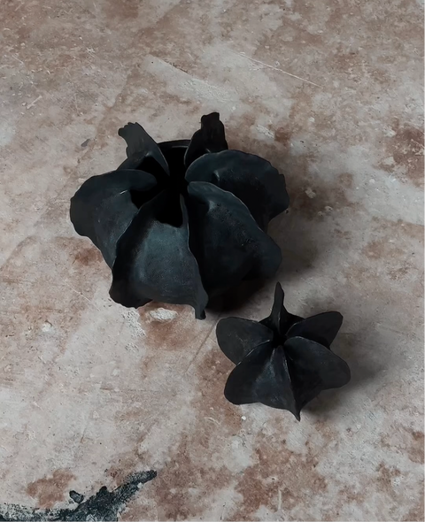 L’Océan noir urchin small - AnneFrance Monshouwer