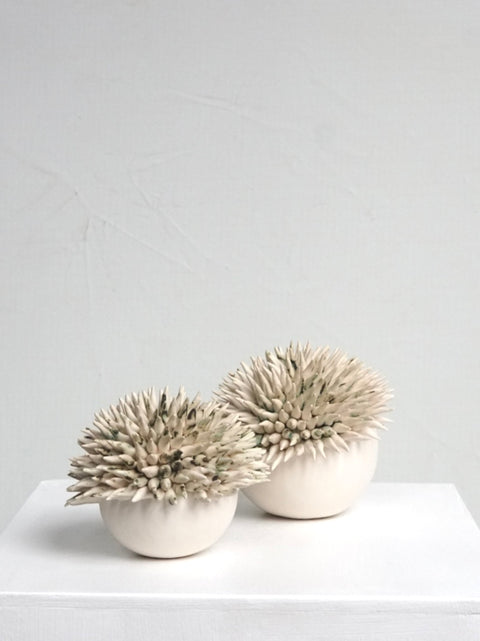 L’Océan clair urchin - AnneFrance Monshouwer (1 piece)